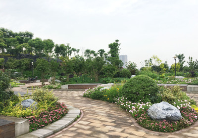 重庆市政小区园林、花卉、苗木批发施工,可以承接各种绿化工程